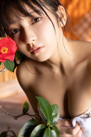 都灵之马